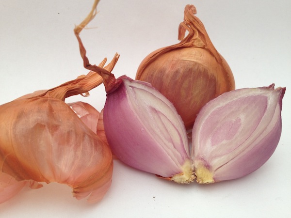 Shallot