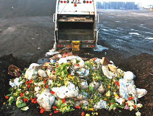 Food Waste