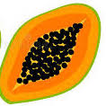 Papaya