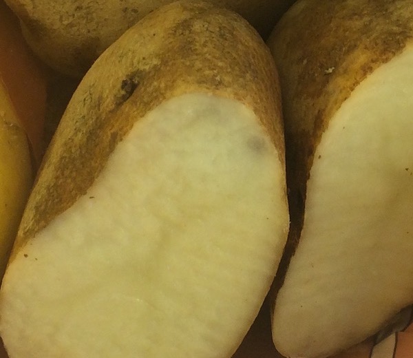 russet potatoes